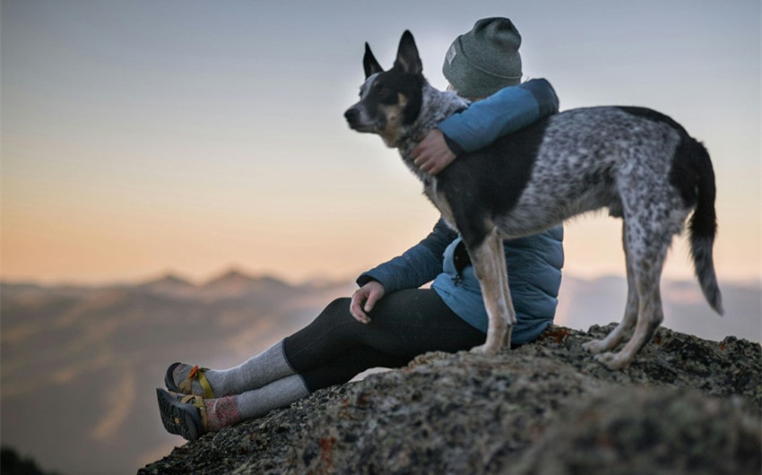 Enduring Bond with a Dog